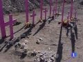 Ver Video