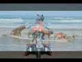 Loews Coronado Surf Dog Competition w/ Bandit The Biker Dog