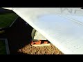 Click here to watch this video Lockheed T-33 Shooting Star