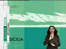 InfoVizzini.it - Come si vota alle elezioni regionali 2008