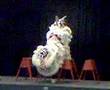Sawhorse routine and lion attacks - Gio Nam Mua Lan