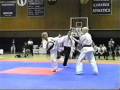 Traditional Japanese Martial Arts Morales Dojo WOK