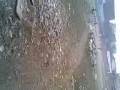 funny shahdara tour