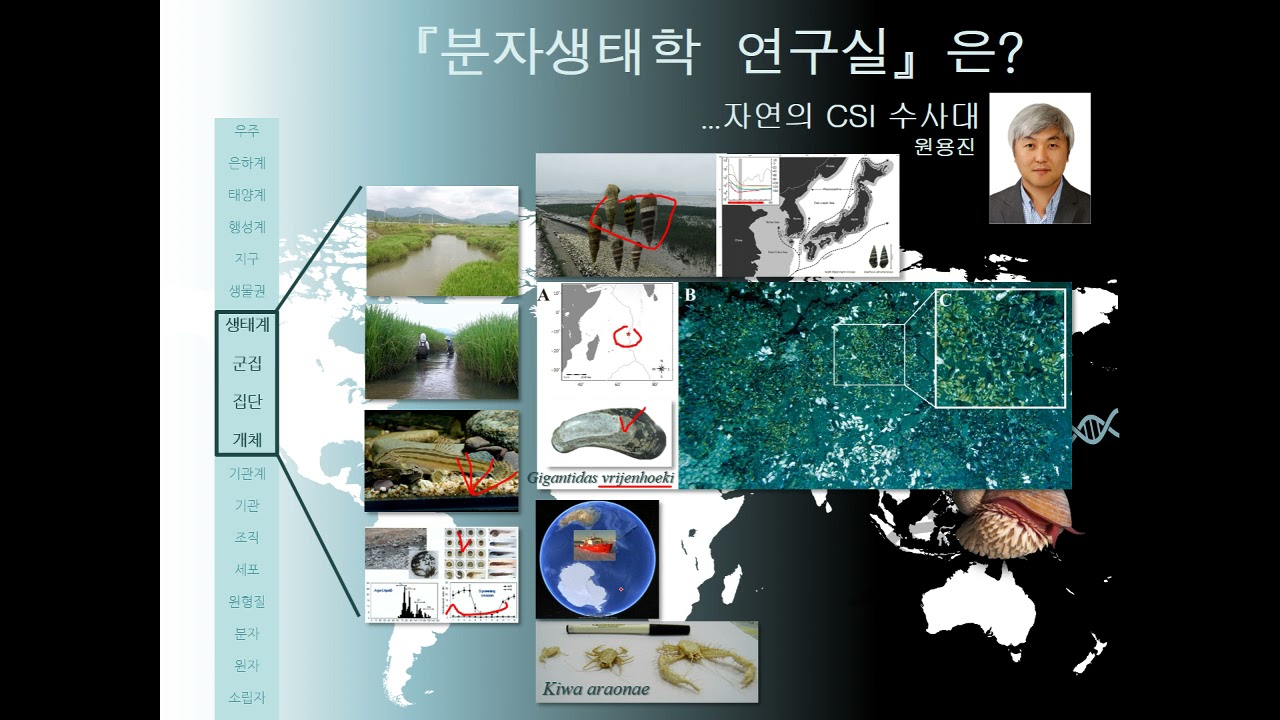 분자생태학 연구실 <원용진 교수>