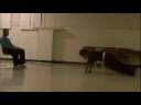 ALF Workout, training, cycling reel ALF Workout, training, cycling reel