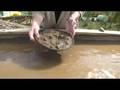 Panning for Gold - ArcticClutch.com