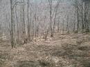 Greylock 04/20/08