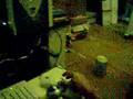 BLUBLU E FLORENCE NA WEB CAM