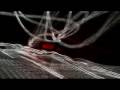 Linear by SQNY