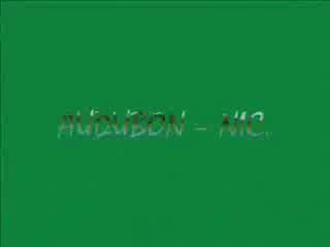 audubon