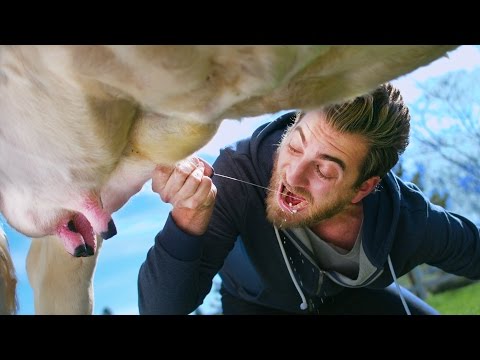 Vais comer isso? (O Musical)