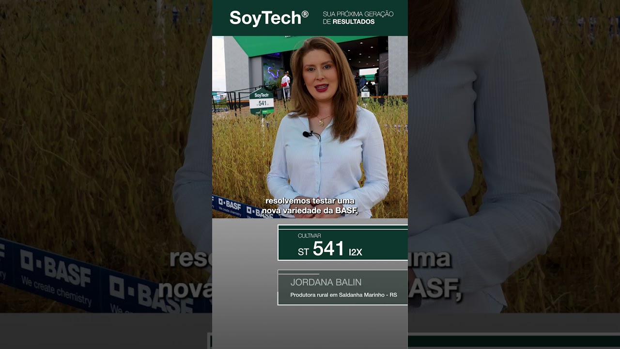 Mais engalhamento e peso de grão: a experiência de Jordana Balin com a ST 541 I2X