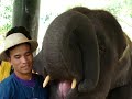 [Video]