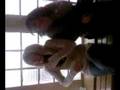 videos de Hahahahah