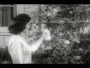 Madame Blavatsky Overdrive-Self Replicating Machine Elves