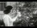 Madame Blavatsky Overdrive-Self Replicating Machine Elves