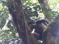 tikbalang part 1