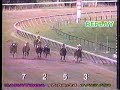 1991 Test S. Versailles Treaty--Ifyoucouldseemenow