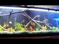 125g overrun with convicts