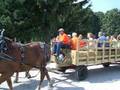 Hensler Nursery: Wagon Rides out to the Pumpkin Patch
