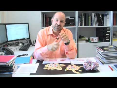 how to isolate dendritic cells