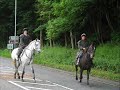 selkirk Common riding!!!