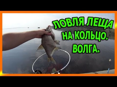 снасть на ловлю леща снасть на ловлю леща