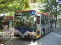 Niigata-Kotsu Bus Festival - 新潟交通 バスまつり (2007)