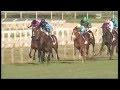 La crisi dell'Ippica Italiana | Rai Sport | 04/01/2012