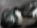 videos de cuto