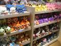 Pokémon Japan 2008