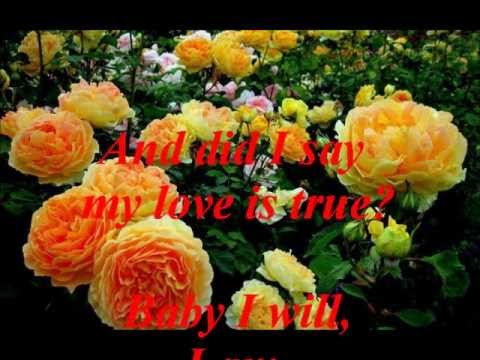 I DO (by:Paul Brandt)