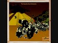 Terrapin-The quantic soul orchestra
