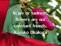 Welcome to my Garden of  Flowers