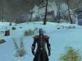 Guild Wars Music German Group Spielmanns Widerkehr