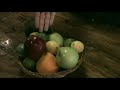 Pirates For Sail: Scurvy Awareness Day PSA
