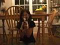 Boston Terrier video