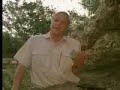 Nature scenes of nocturnal bats - David Attenborough  - BBC wildlife