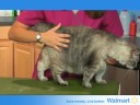 Is Your Pet Overweight  EP7