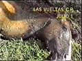 Revolución Sandinista, La Ofensiva Final 8ª parte