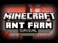 Ant Farm Survival - Ep. 12 - Going Airborne!