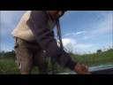 Le WWF au P�rou