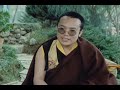 16th Karmapa Trains Regents of the Kagyu Lineage