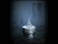 Rapture - Antony and the johnsons