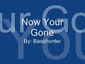 basshunter now your gone