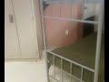 Croc hunter.mp4