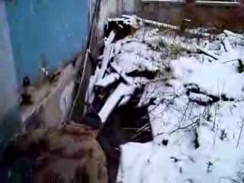YouTube Трейлер