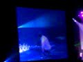 clubland.live.secc.glasgow cascada-miracle