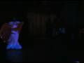 Schleier- Lichtertanz Idee und Choreo Christine Nestola