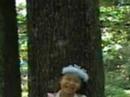 The Little Princess The Little Princess